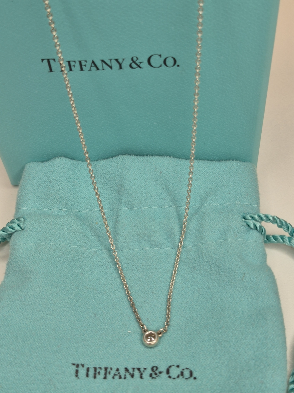 Tiffany & Co. Elsa Peretti .10 Sterling Silver Diamond By The Yard Pendant. 16"